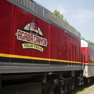 Area Attractions 1