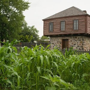 Area Attractions 16
