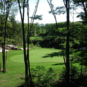 Area Attractions 9