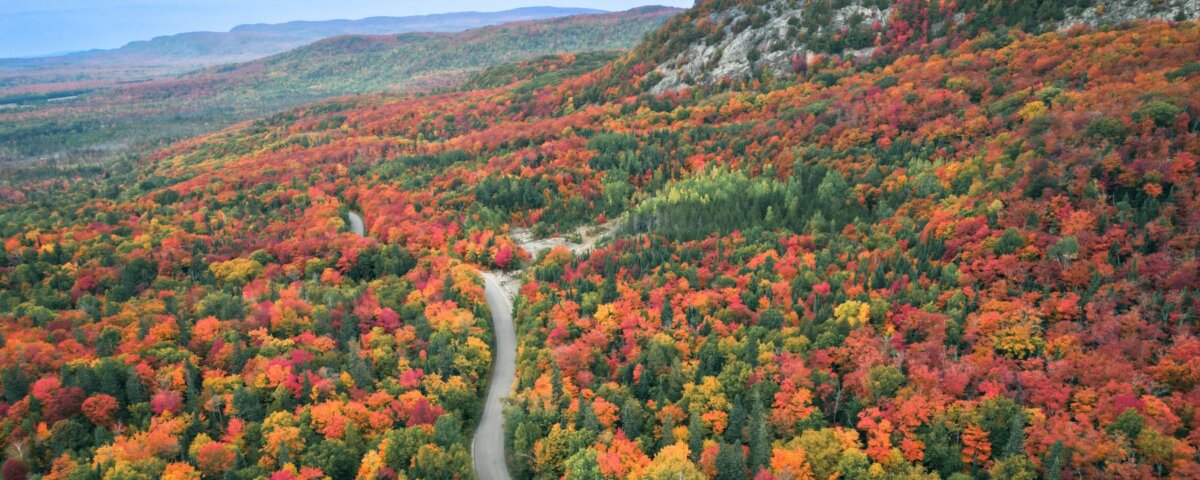 Bellevue Valley Road in the fall