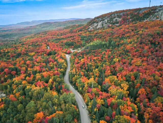Bellevue Valley Road in the fall